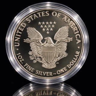 Águila de Plata Americana 2016 Universo
