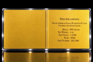 Águila de Plata Americana 2016 Universo
