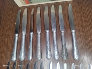 12 Cuchillos Postre y 8 Cuchillos Normales