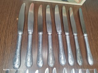 12 Cuchillos Postre y 8 Cuchillos Normales