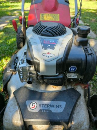 Cortacésped Gasolina Sterwins