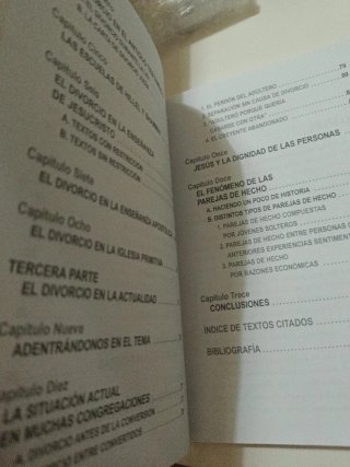 Divorcio, el. aproximacion biblica, historica y...