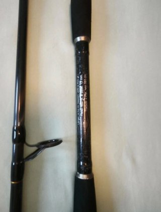 Caña Kali Kunnan Siluro Spin 300 XH (Reforzada)