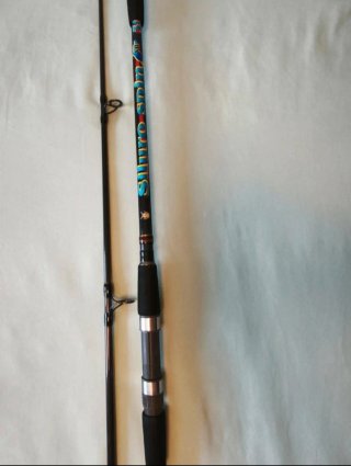 Caña Kali Kunnan Siluro Spin 300 XH (Reforzada)