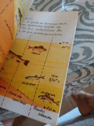 Cuaderno d campo + minicuento-Félix Rdguez delafte