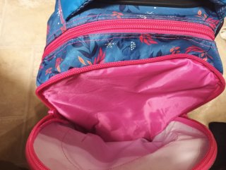 Mochila Escolar Frozen Ruedas