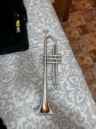 Trompeta J.Michael TR300