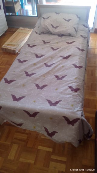 Cama infantil IKEA SNIGLAR 70x160 cm
