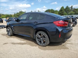 Despiece BMW X6 M 2016