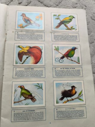 Album El Mundo de las Aves 140 Laminas
