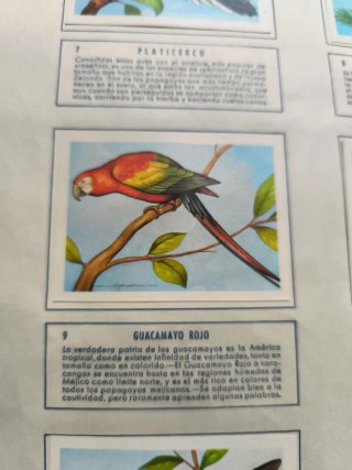 Album El Mundo de las Aves 140 Laminas