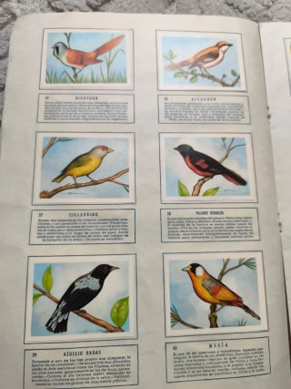 Album El Mundo de las Aves 140 Laminas