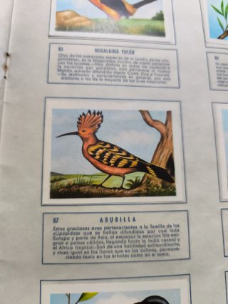 Album El Mundo de las Aves 140 Laminas