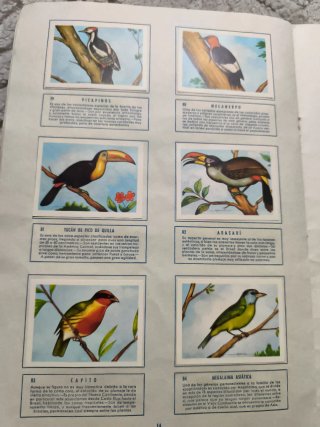 Album El Mundo de las Aves 140 Laminas