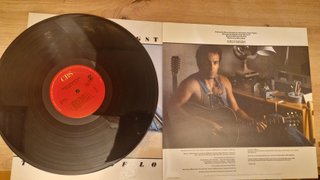 Vinilo Bruce Springsteen - Tunnel of Love