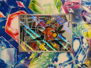 Carta Pokémon Tepig First Partner