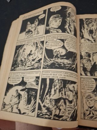 comics de RINTINTIN