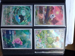 Carte Pokemon