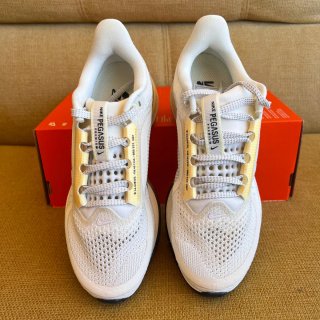 Zapatillas Nike Pegasus Premium 38