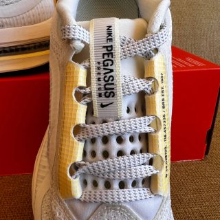 Zapatillas Nike Pegasus Premium 38