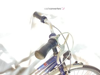 bicicleta paseo gazelle ambiance