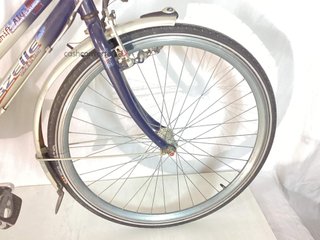 bicicleta paseo gazelle ambiance