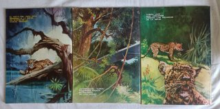 Lote Cómics Tumac Nº 1, 2 y 3 (1979) ¡Como nuevos!