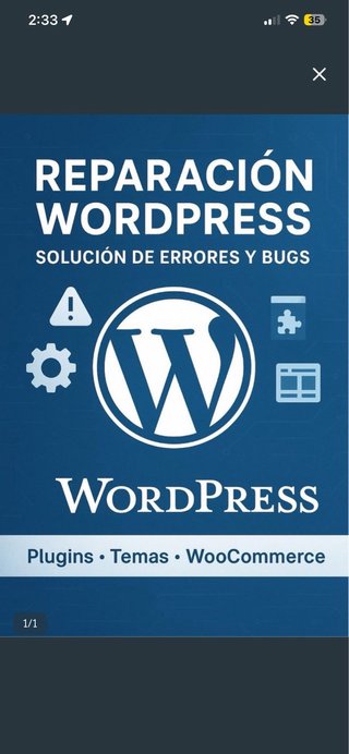 Reparación WordPress: Solución Errores y Bugs
