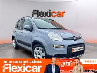 Fiat Panda Panda Hybrid 1.0 51kw (70CV)