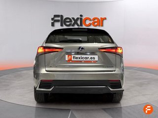 Lexus NX 2.5 300h Business 2WD