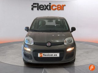 Fiat Panda Panda Hybrid 1.0 Gse 51kw (70CV)