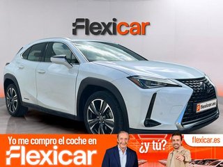 Lexus UX 2.0 250h Business