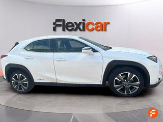 Lexus UX 2.0 250h Business