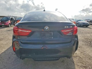 Despiece BMW X6 M 2015
