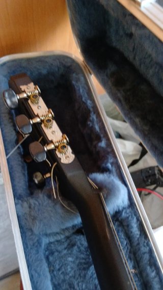 Guitarra Acústica Fishman Presys