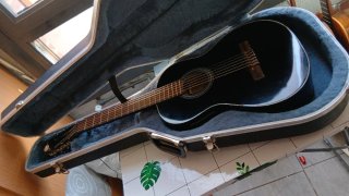 Guitarra Acústica Fishman Presys
