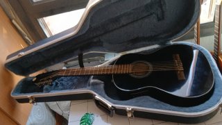 Guitarra Acústica Fishman Presys
