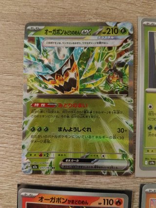 Set 6 Cartas Pokémon Ogerpon