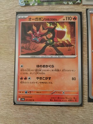 Set 6 Cartas Pokémon Ogerpon