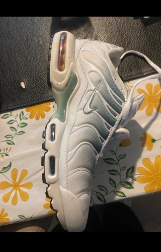 Nike TN Air Max Plus Verde Blanco