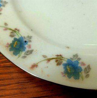 "PLATO de PORCELANA DECORATIVA FLORAL VINTAGE".