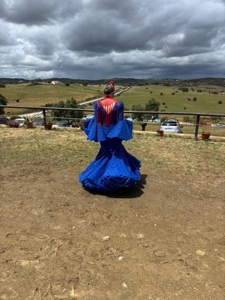 Traje de flamenca