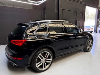 AUDI SQ5 3.0 TDI quattro tiptronic Competition