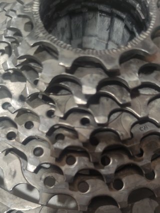 Cassette MTB/Gravel 12v 11-50