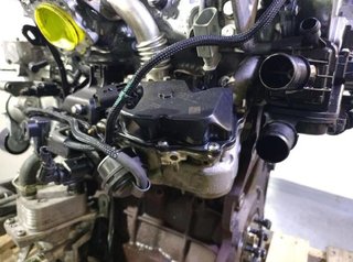 Rectp5540994 motor ah01 peugeot expert furgoneta v