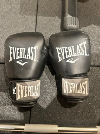 Guantes Boxeo Everlast 'Rodney' PU