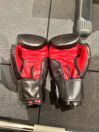 Guantes Boxeo Everlast 'Rodney' PU