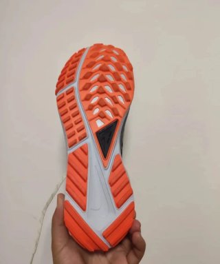 Nike Pegasus Trail 4 GTX v2 Beige/Naranja