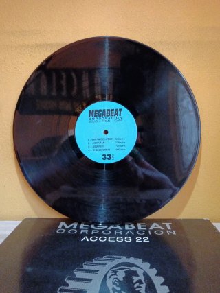 Vinilo EBM remember