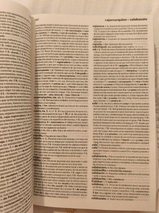 Diccionario Esencial De La Lengua Espanola